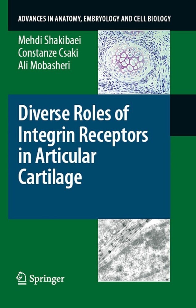 Diverse Roles of Integrin Receptors in Articular Cartilage main product photo