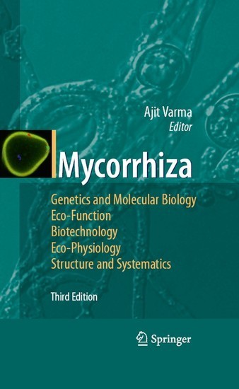 Mycorrhiza main product photo