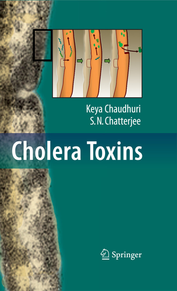 Cholera Toxins main product photo