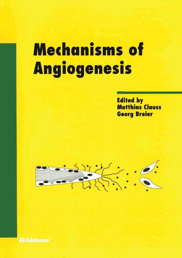 Mechanisms of Angiogenesis main product photo