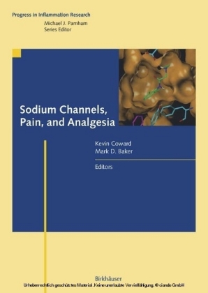 Sodium Channels, Pain, and Analgesia