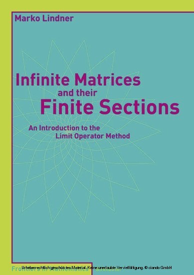 Infinite Matrices and their Finite Sections main product photo