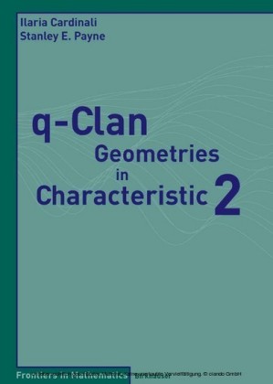 q-Clan Geometries in Characteristic 2
