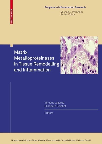 Matrix Metalloproteinases in Tissue Remodelling and Inflammation main product photo