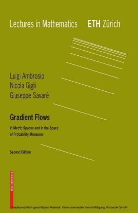 Gradient Flows