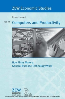 Computers and Productivity