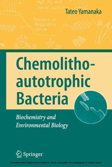 Chemolithoautotrophic Bacteria main product photo