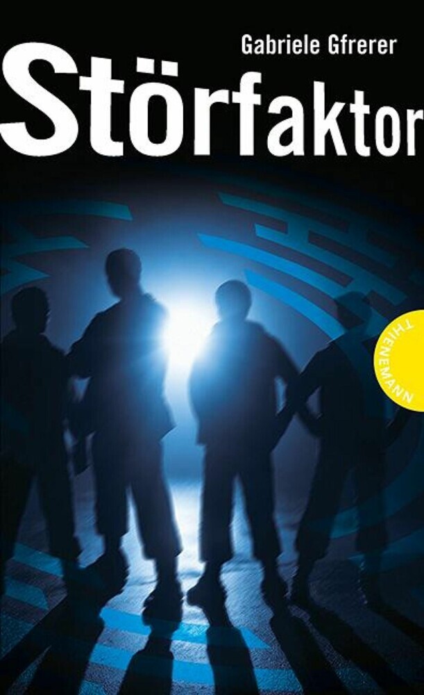 Störfaktor main product photo