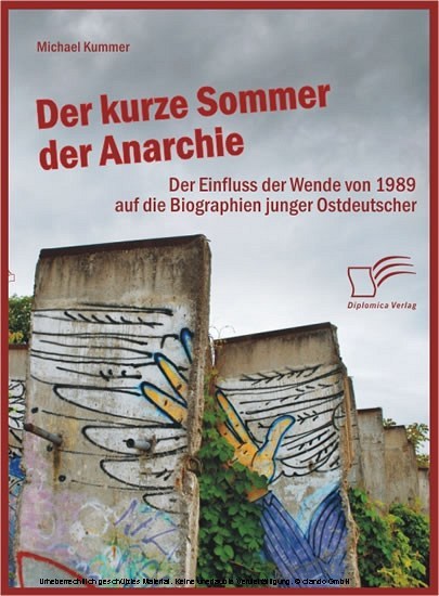 Der kurze Sommer der Anarchie: Der Einfluss der Wende von 1989 auf die Biographien junger Ostdeutscher main product photo