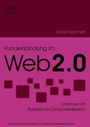 Kundenbindung im Web 2.0. Chancen im Business-to-Consumer-Bereich