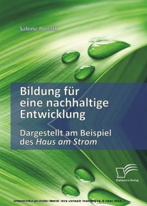Bildung für eine nachhaltige Entwicklung. Dargestellt am Beispiel des Haus am Strom