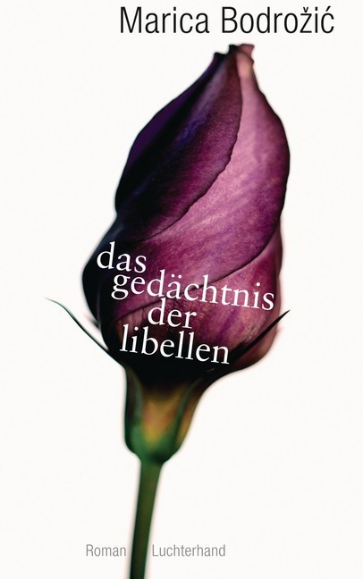 Das Gedächtnis der Libellen main product photo
