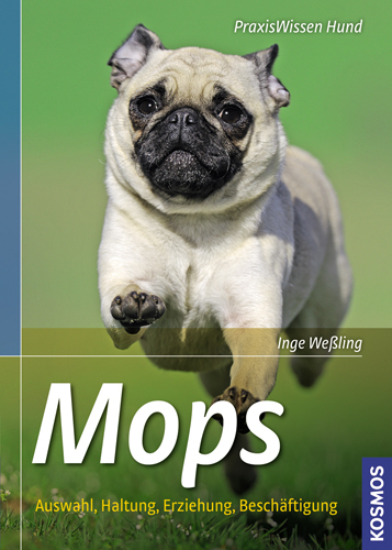 Mops main product photo