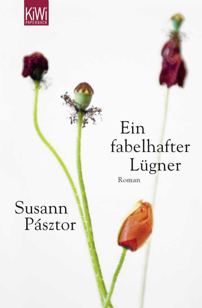 Ein fabelhafter Lügner main product photo