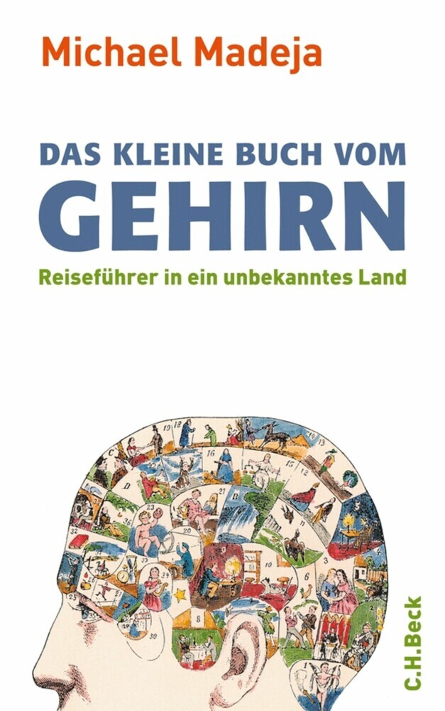 Das kleine Buch vom Gehirn main product photo
