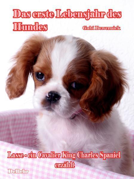 Das erste Lebensjahr des Hundes main product photo