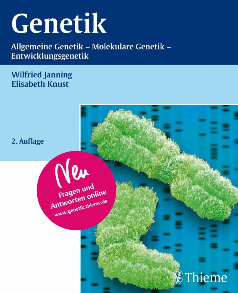 Genetik main product photo