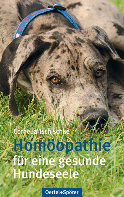 Homöopathie main product photo