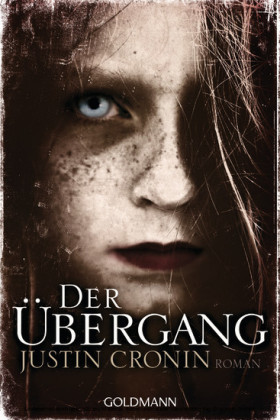 Der Übergang. Bd.1