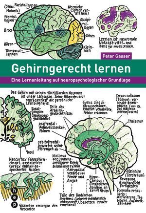 Gehirngerecht lernen main product photo