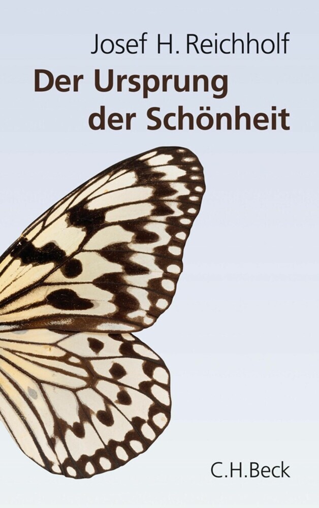 Der Ursprung der Schönheit main product photo