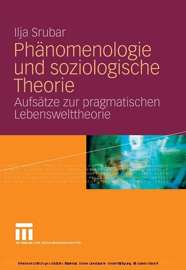 Phänomenologie und soziologische Theorie main product photo