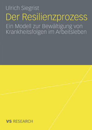 Der Resilienzprozess