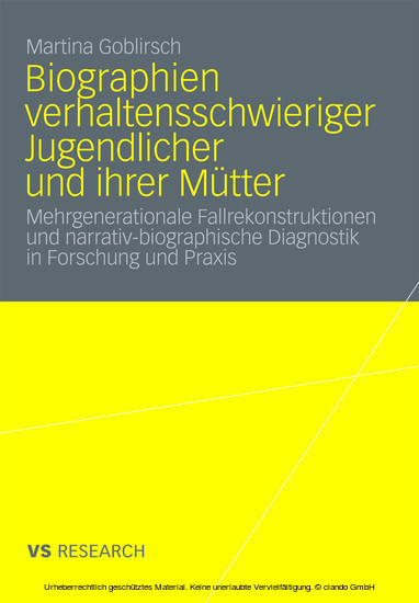 Biographien verhaltensschwieriger Jugendlicher und ihrer Mütter main product photo