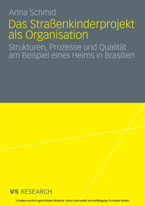 Das Straßenkinderprojekt als Organisation