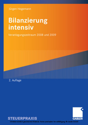 Bilanzierung intensiv