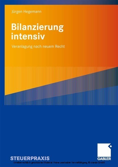 Bilanzierung intensiv main product photo