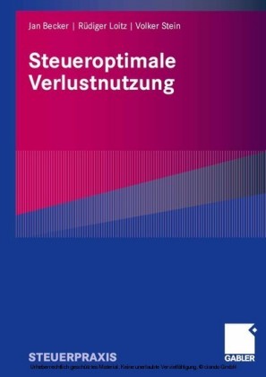 Steueroptimale Verlustnutzung