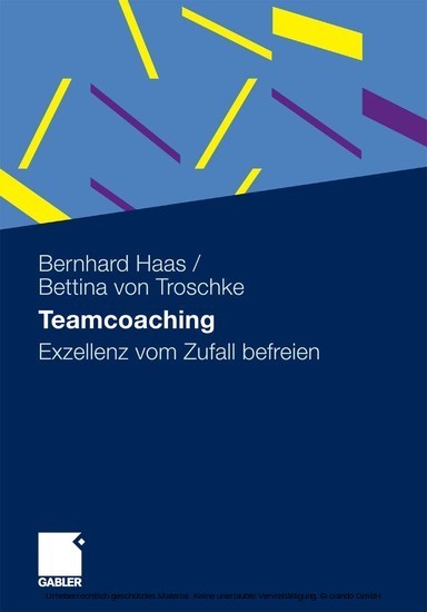 Teamcoaching main product photo