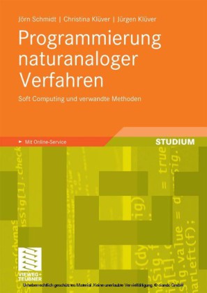 Programmierung naturanaloger Verfahren