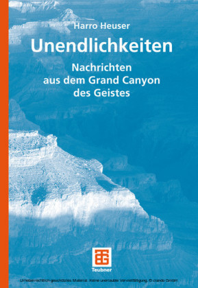 Unendlichkeiten