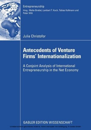 Antecedents of Venture Firms' Internationalization