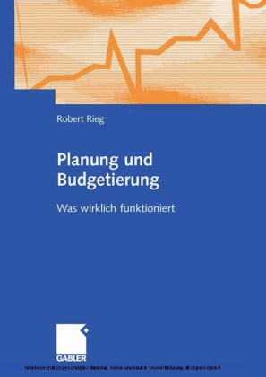 Planung und Budgetierung