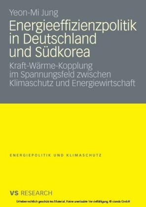 Energieeffizienzpolitik in Deutschland und Südkorea