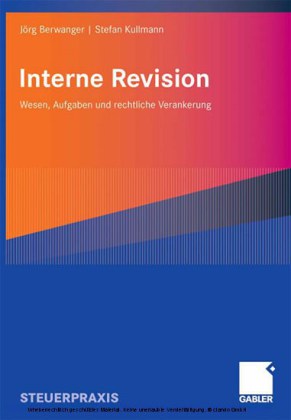 Interne Revision