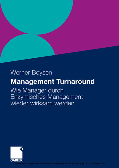 Management Turnaround main product photo