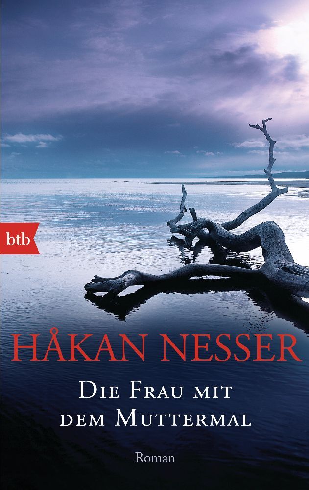 Die Frau mit dem Muttermal main product photo