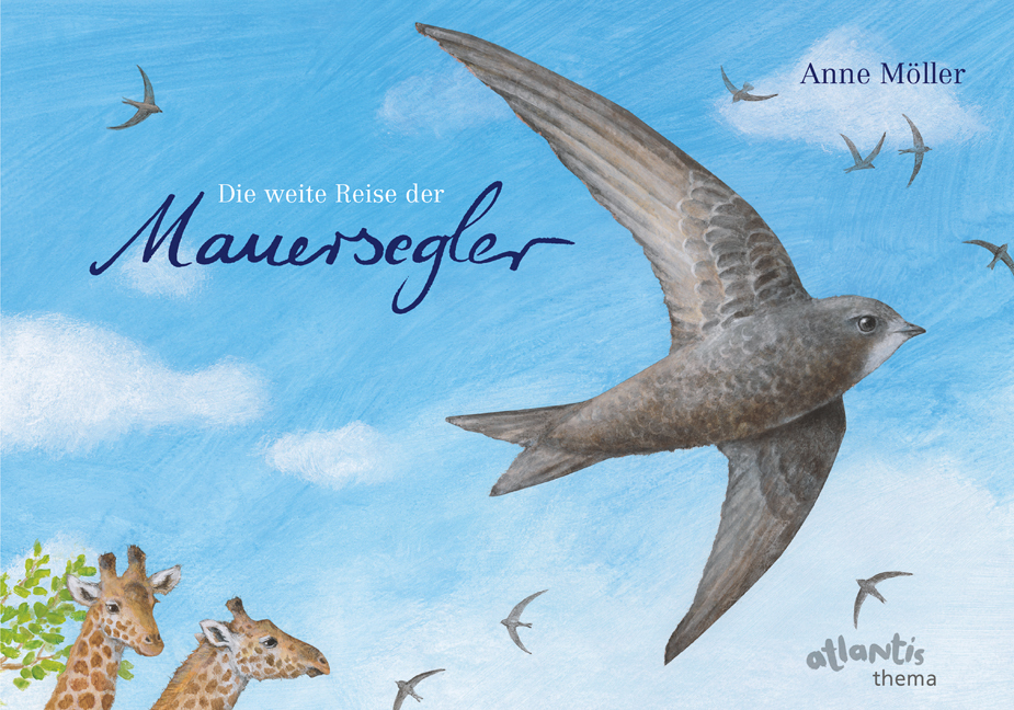 Die weite Reise der Mauersegler main product photo