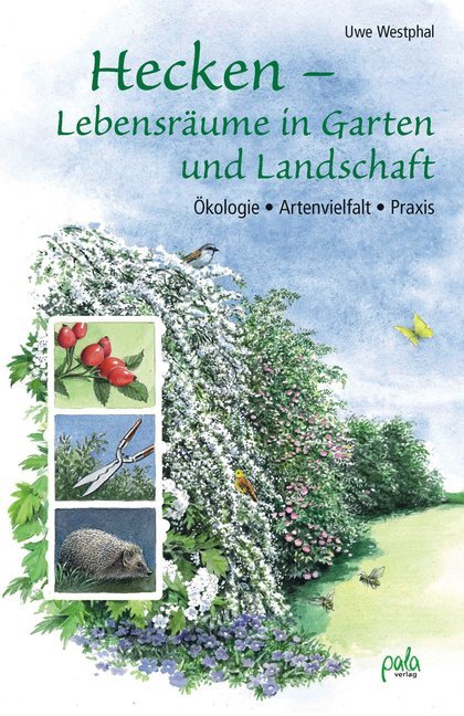 Hecken - Lebensräume in Garten und Landschaft main product photo