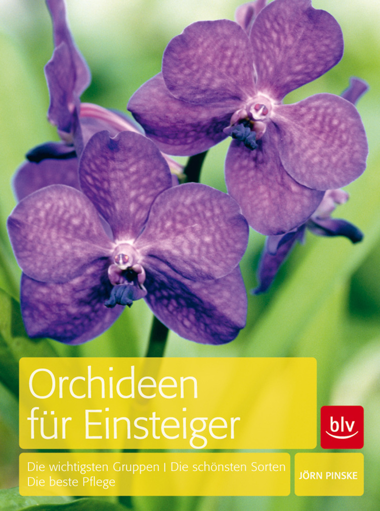 Orchideen für Einsteiger main product photo