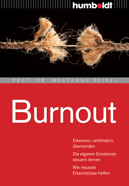 Burnout main product photo