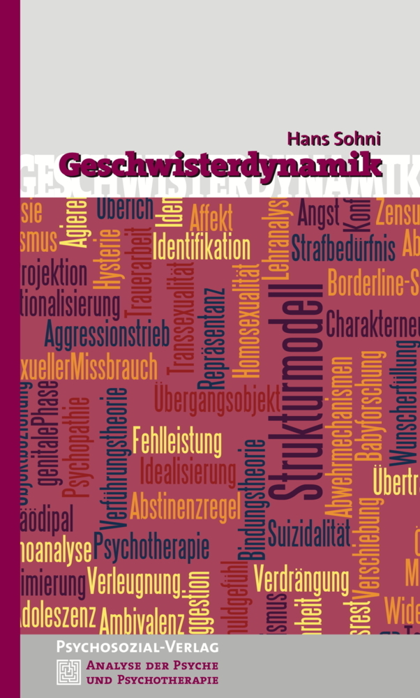 Geschwisterdynamik main product photo