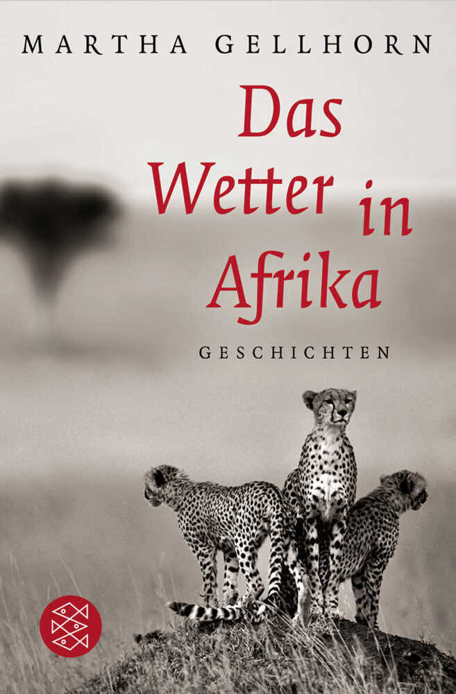 Das Wetter in Afrika main product photo