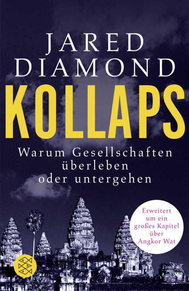 Kollaps main product photo