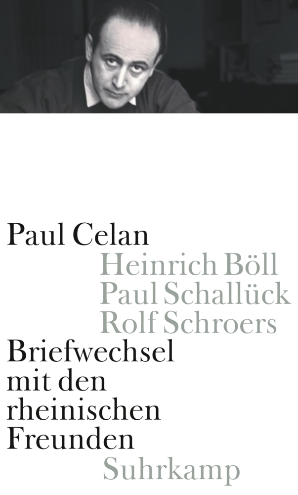 Briefwechsel mit den rheinischen Freunden main product photo