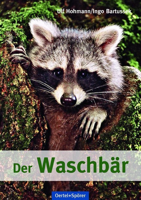 Der Waschbär main product photo